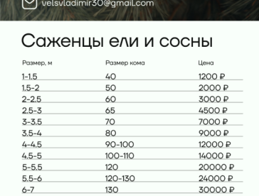 цены1