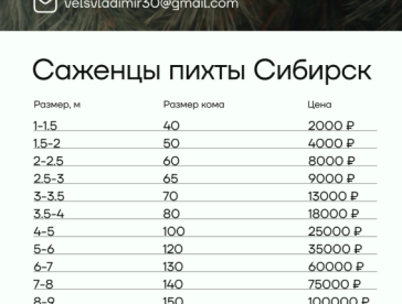 цены2