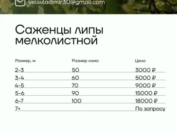 цены4